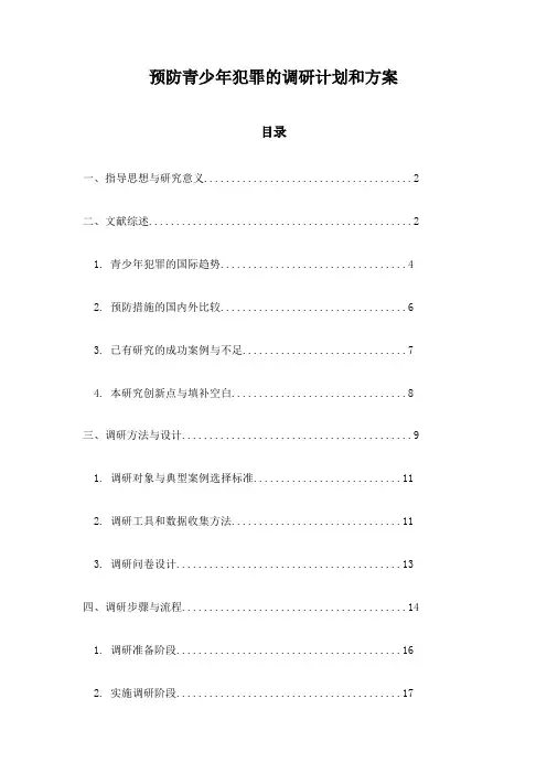 预防青少年犯罪的调研计划和方案