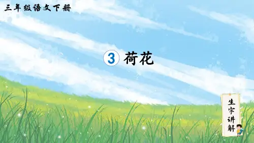 部编版三年级语文下册3荷花笔顺课件(共13张ppt)