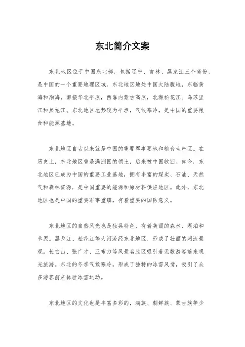 东北简介文案