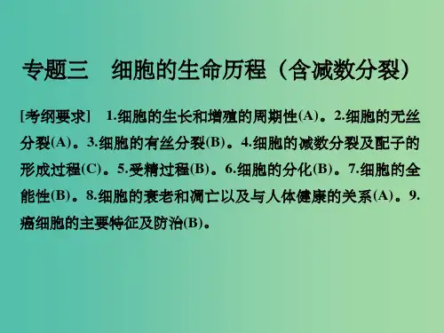 高考生物二轮复习 第一单元 专题三 细胞的生命历程(含减数分裂)
