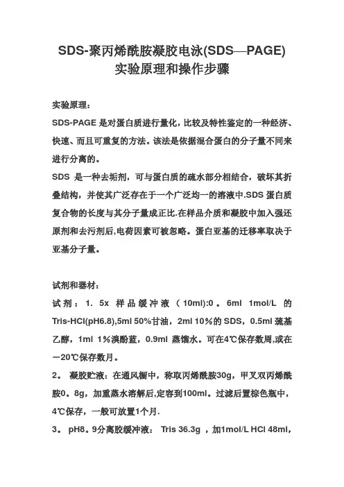 SDS-聚丙烯酰胺凝胶电泳(SDS-PAGE)实验原理和操作步骤
