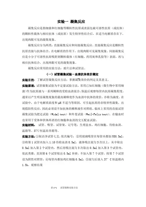 实验：凝集反应