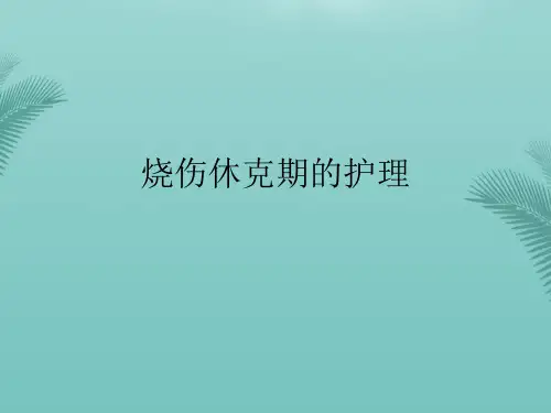烧伤休克期的护理(精选优秀)PPT