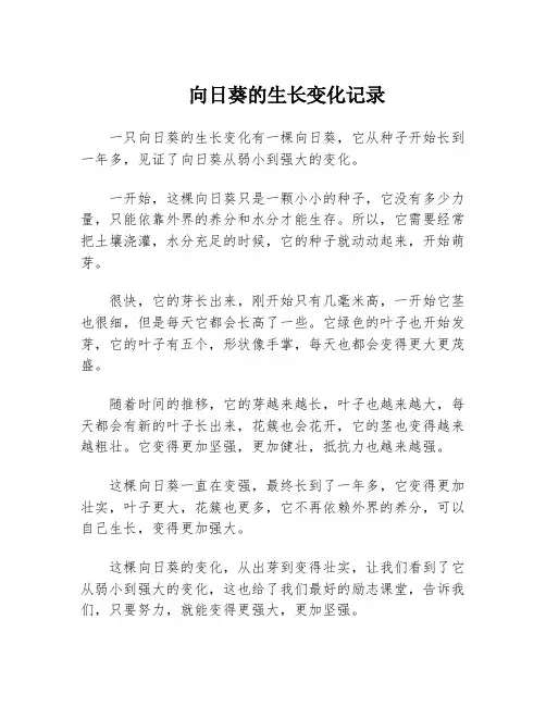 向日葵的生长变化记录