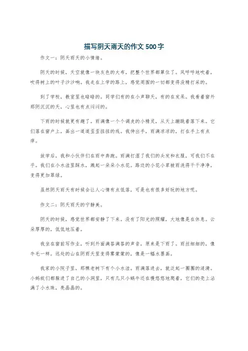 描写阴天雨天的作文500字