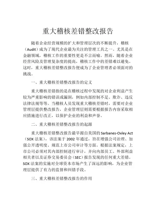 重大稽核差错整改报告