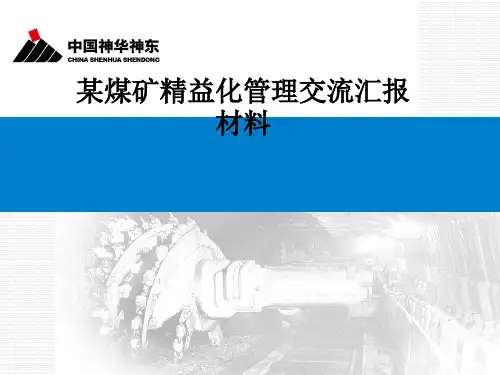 某煤矿精益化管理交流汇报材料