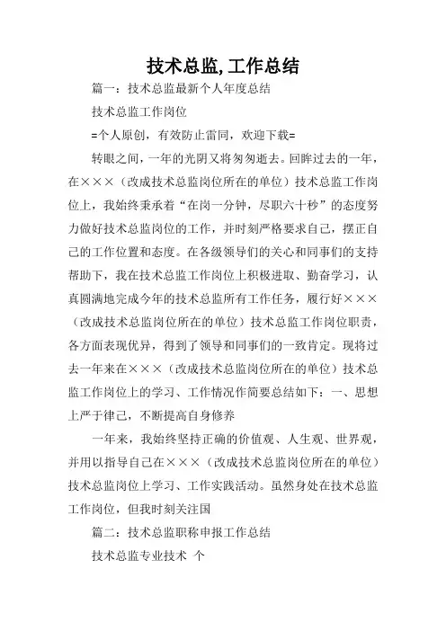 技术总监,工作总结