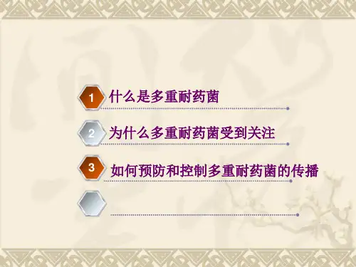多重耐药菌知识培训【PPT课件】