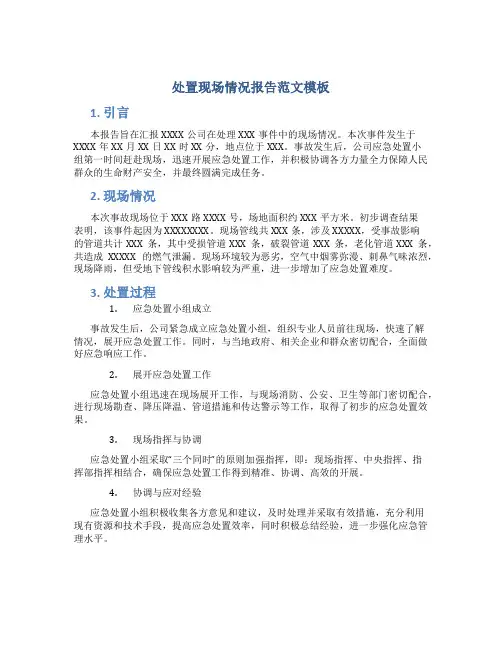 处置现场情况报告范文模板