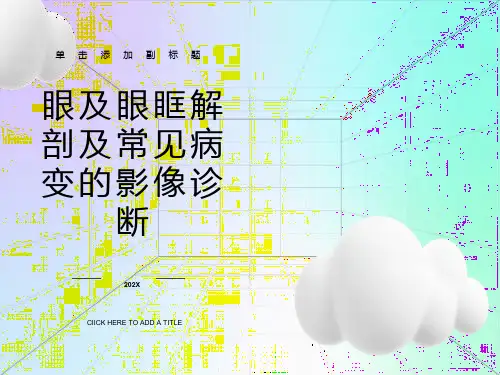眼及眼眶解剖及常见病变的影像诊断