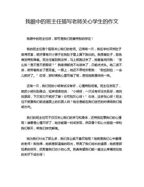 我眼中的班主任描写老师关心学生的作文