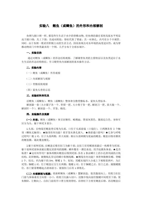 鲤鱼(或鲫鱼的外形和内部解剖汇总