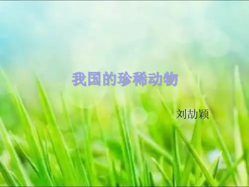 我国的珍稀动物