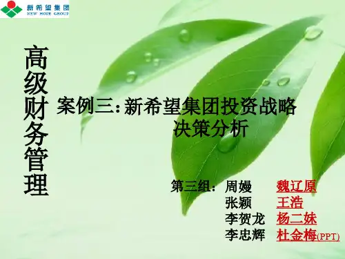 第三组新希望案例终稿-精品文档