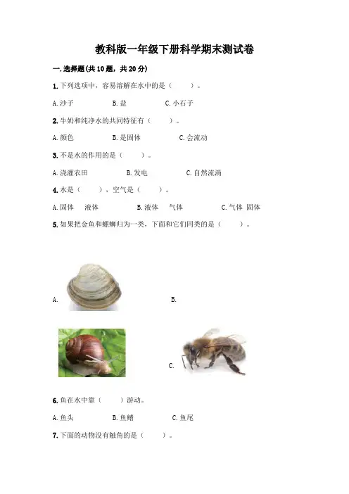 教科版一年级下册科学期末测试卷附参考答案(考试直接用)
