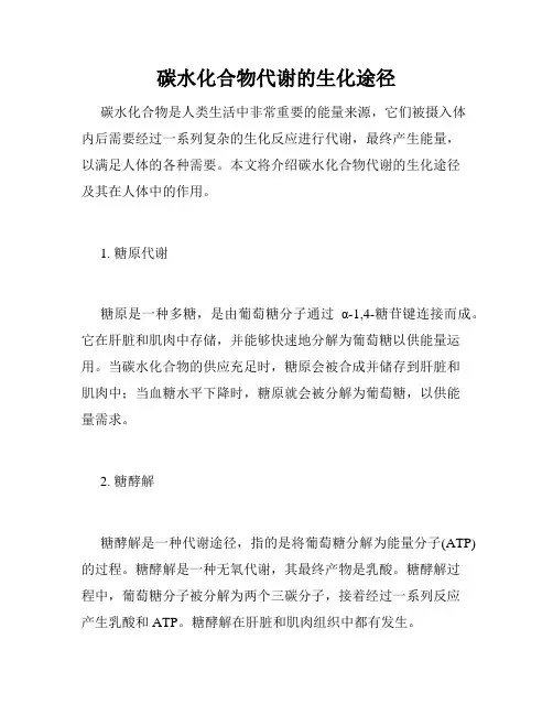 碳水化合物代谢的生化途径