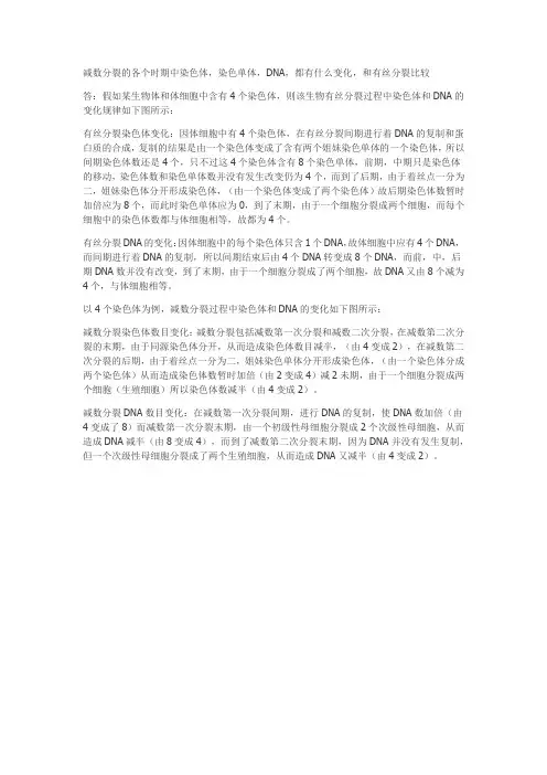 减数分裂 有丝分裂 (染色体 .DNA个数)
