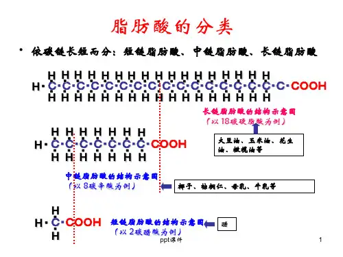 中链脂肪酸介绍营养科ppt课件