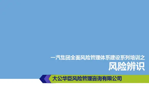 风险辨识v-文档资料