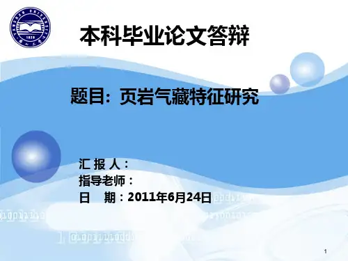 页岩气特征研究ppt课件