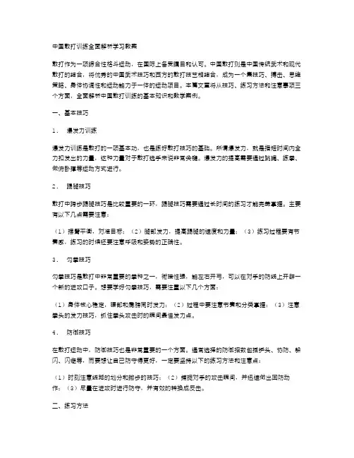 中国散打训练全面解析学习教案