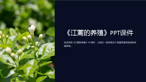 《江蓠的养殖》课件