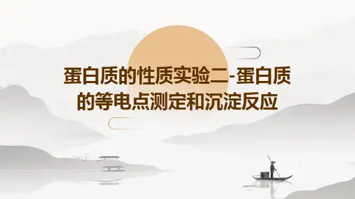 蛋白质的性质实验二-蛋白质的等电点测定和沉淀反应