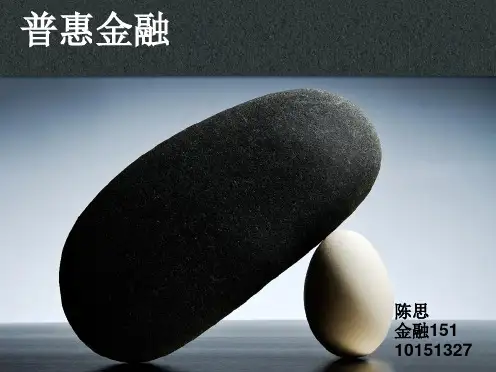 金融法学习课件普惠金融---金融法---陈思