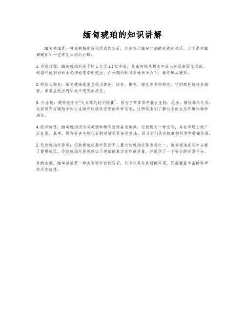 缅甸琥珀的知识讲解