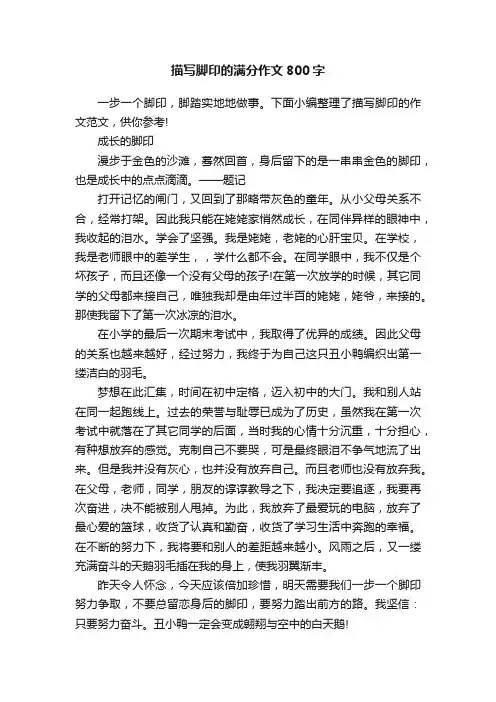 描写脚印的满分作文800字