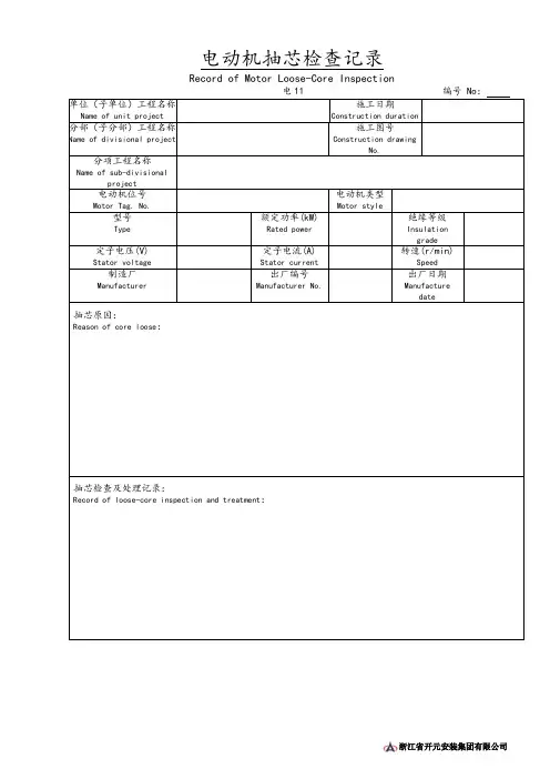 电动机抽芯检查记录