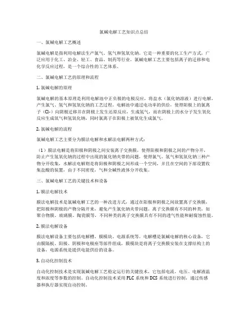 氯碱电解工艺知识点总结