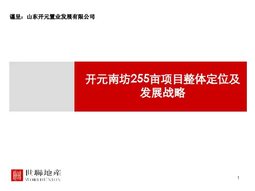 【发展战略】XXXX临沂北城新区项目整体定位与发展战略