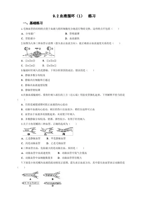 北师大版生物七年级下册 血液循环(1) 同步练习