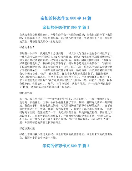 亲切的怀恋作文800字14篇