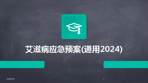 2024年度艾滋病应急预案(通用2024)