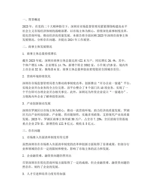 商事主体年终报告