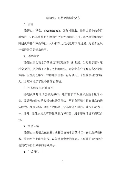 隐翅虫：自然界的精妙之作