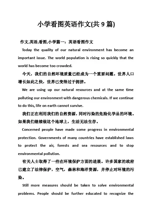小学看图英语作文（共9篇）