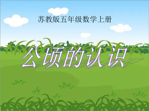 《公顷的认识》公顷和平方千米PPT课件  图文