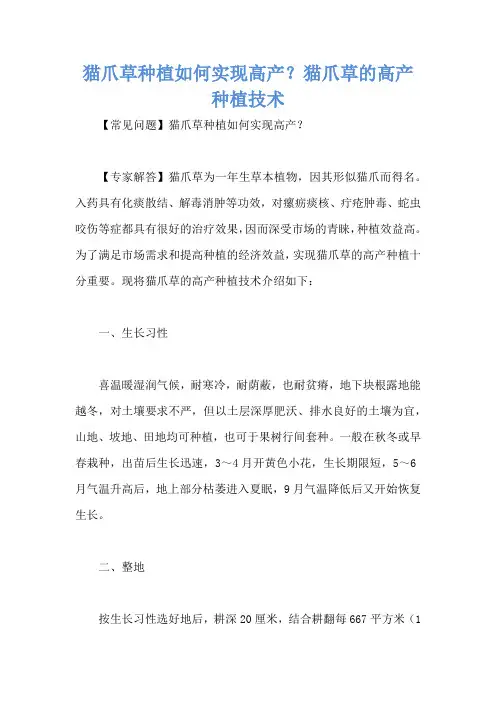 猫爪草种植如何实现高产？猫爪草的高产种植技术