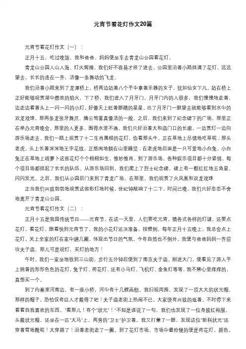 元宵节看花灯作文20篇