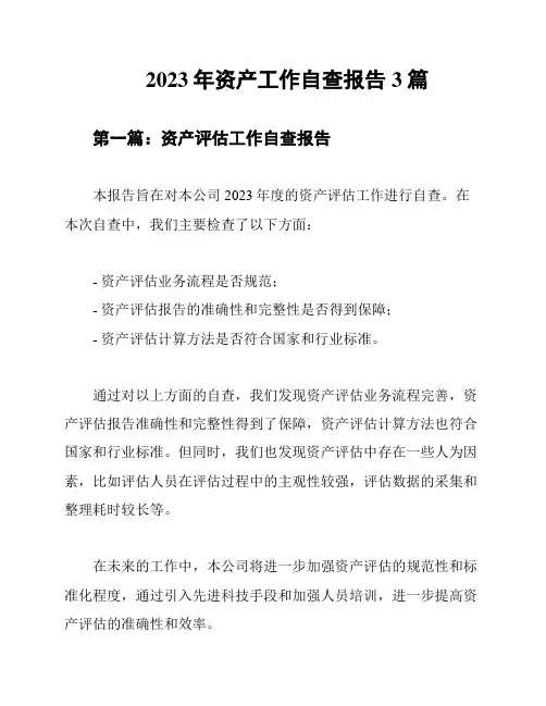 2023年资产工作自查报告3篇