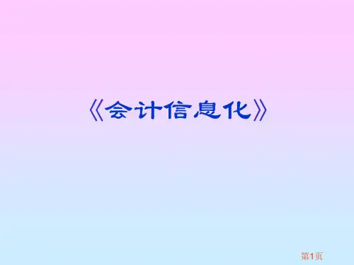 会计信息系统简介 PPT课件