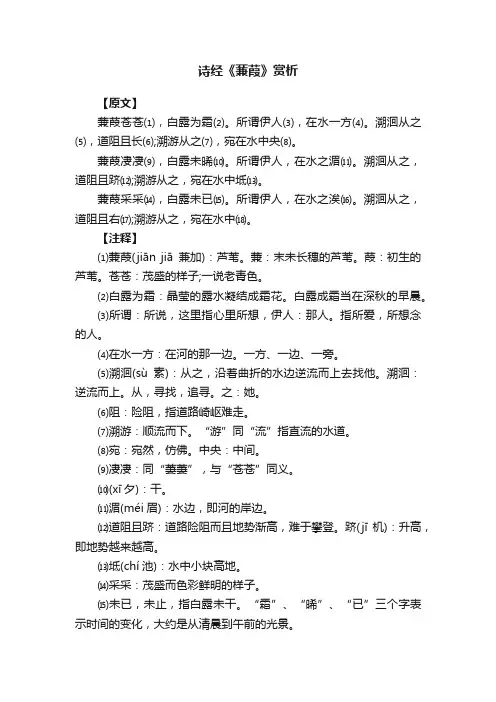 诗经《蒹葭》赏析