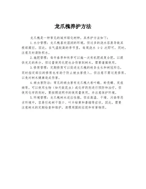 龙爪槐养护方法