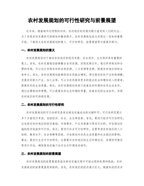 农村发展规划的可行性研究与前景展望