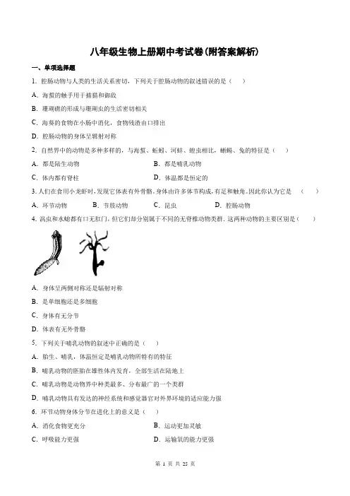 八年级生物上册期中考试卷(附答案解析)