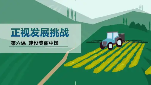 《正视发展挑战》PPT优质教学课件